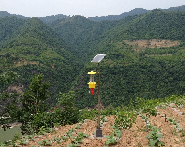 1659425162204821.jpg IMG_0091.jpg