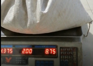 云飛殺蟲燈一天殺蟲量將近9斤，客戶都驚呆了