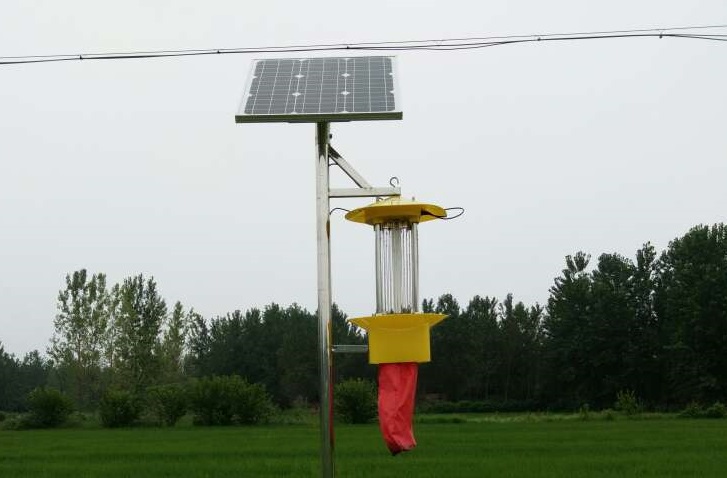 信陽水稻種植基地利用云飛殺蟲燈發(fā)展綠色農(nóng)業(yè)