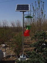 森林太陽能殺蟲燈