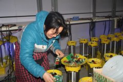 每一臺燈都必須全神貫注