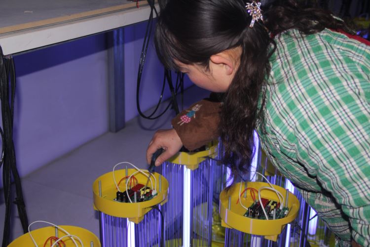 認真檢測每一臺殺蟲燈