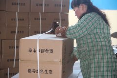 殺蟲燈打包入箱