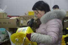 把殺蟲燈的每一個細節(jié)做到極致