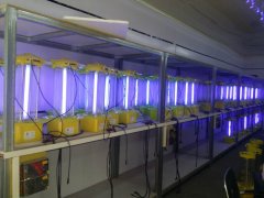 組裝好的殺蟲燈一覽圖