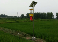 云飛殺蟲燈全力做好株州稻田害蟲防治工作