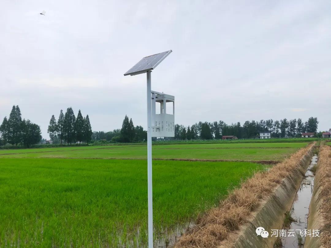 風(fēng)吸式太陽(yáng)能殺蟲燈